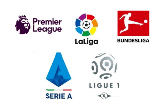 在这场激动 在这场激动